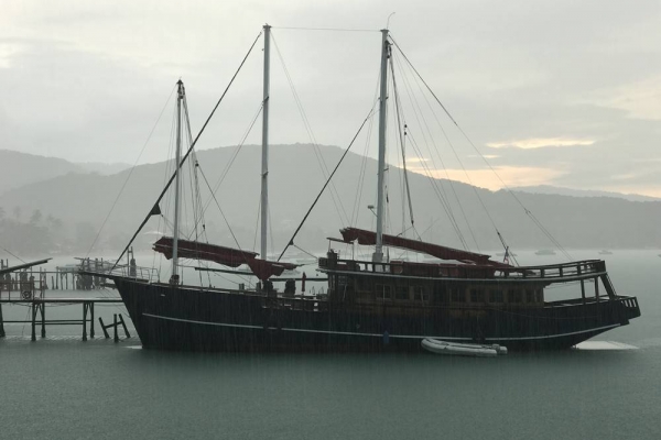 Po wolność i piękno  //  Pursuing freedom and beauty